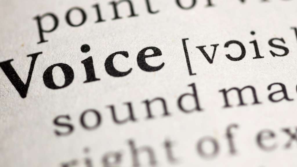 dictionary definition of voice